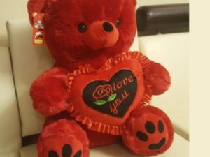 Radiant Red Teddy Bear 22 Inches